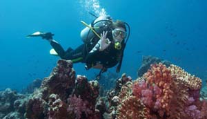 IboIsland MitiMiwiri Diving