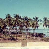 Carlos lopes bento - pequeno palmar junto ao mar - 1970 -  ibo island