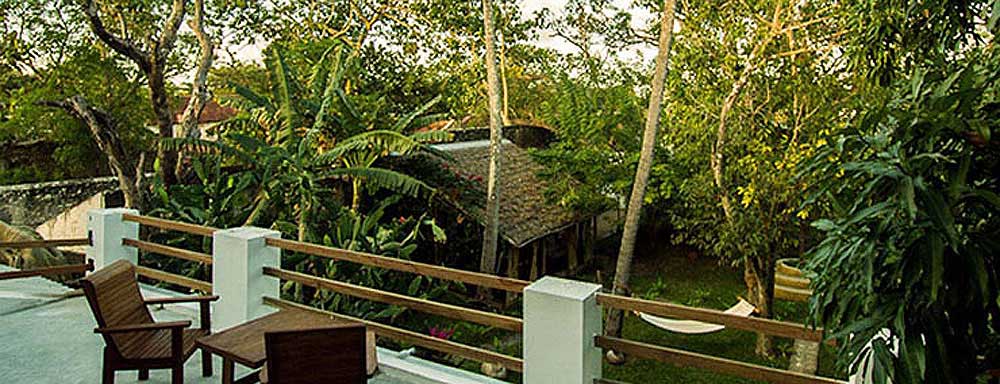 O jardim do Miti Miwiri