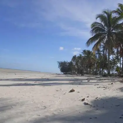 Matemoisland quirimbas 03