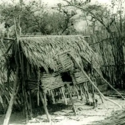 Galinheiro (1970)