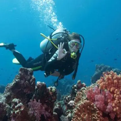 Quirimbas diving 07