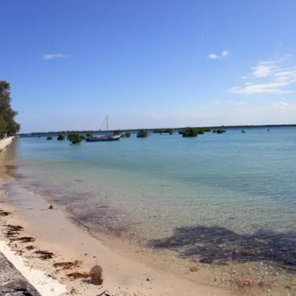 Iboisland town 15