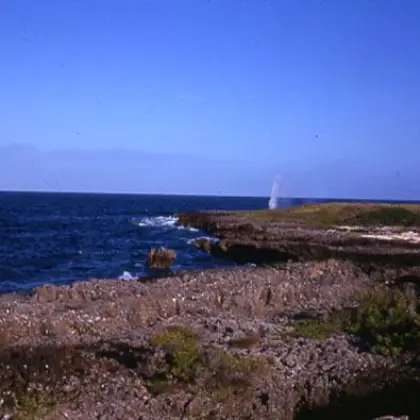 Mujaca (1970)